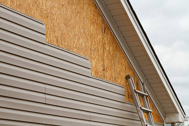 Professional Siding Inspection technician working in Russells Point, OH